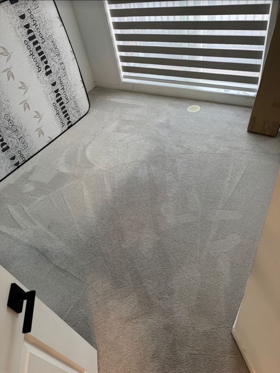 Bedroom carpet after extraction in an Agincourt home