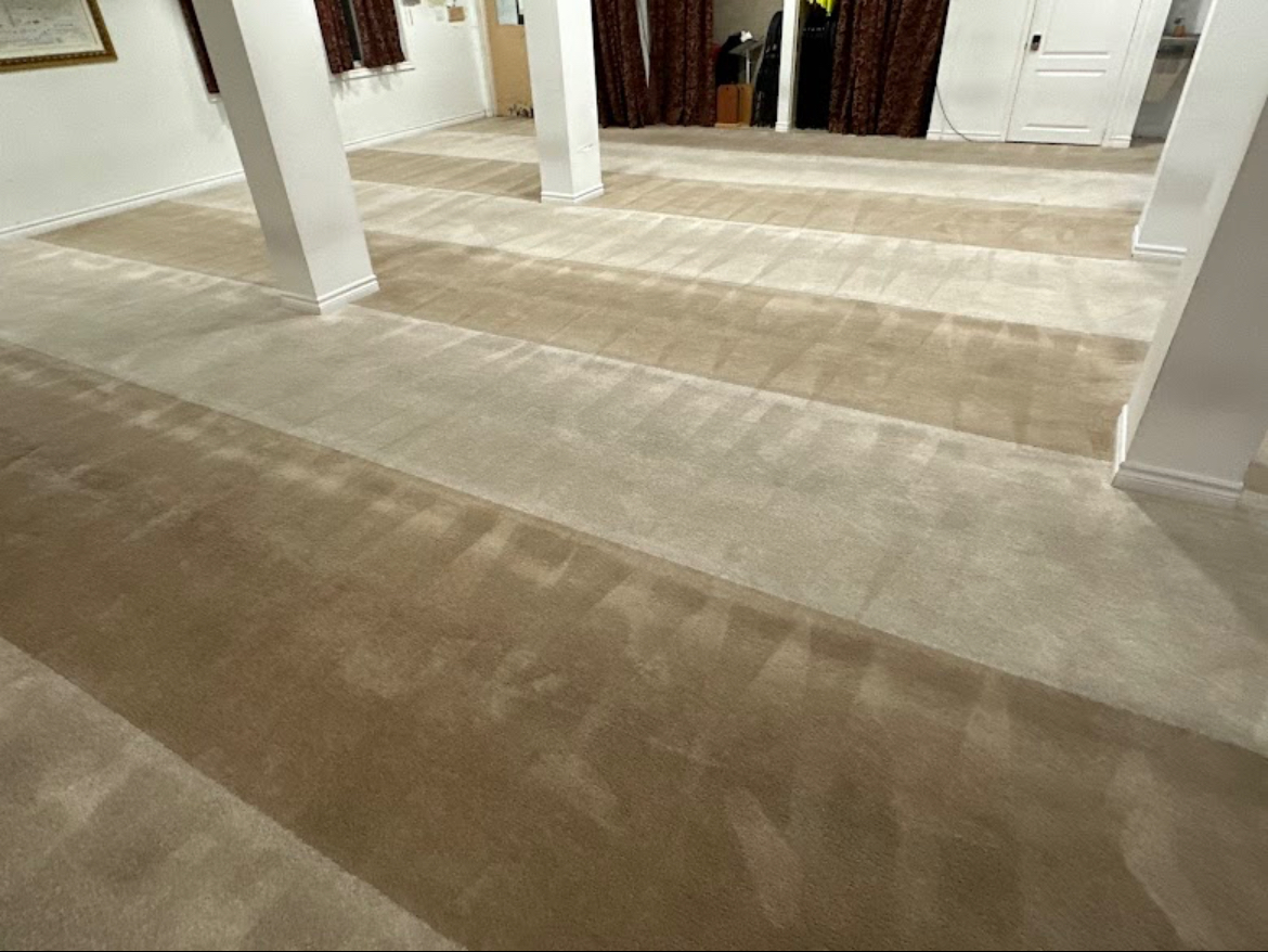 Large hall and dining room carpet cleaning in a Mississauga home